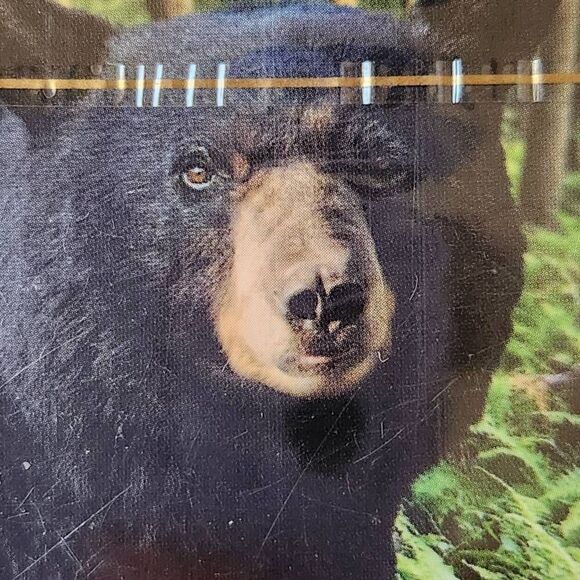 Premium poker playing cards 52 new in packaging Forest bear item # m5c2602 - Picture 5 of 5